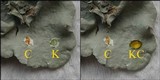 Parmotrema austrosinense image
