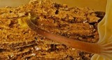 Xeromphalina cornui image