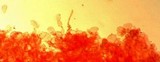 Alnicola melinoides image