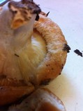 Lactarius psammicola image