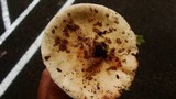 Amanita rubescens var. rubescens image