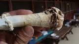 Amanita subcokeri image