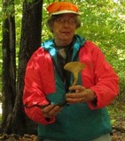 Polyporus radicatus image