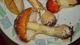 Amanita persicina image