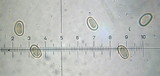 Inocybe brunnescens image