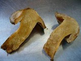 Paxillus involutus image