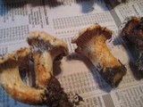 Cantharellus subalbidus image