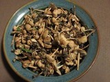 Marasmius oreades image