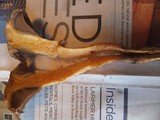 Chroogomphus ochraceus image