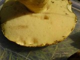 Gyroporus cyanescens image