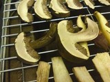 Tylopilus porphyrosporus image