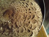 Chlorophyllum olivieri image