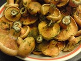 Lactarius deterrimus image