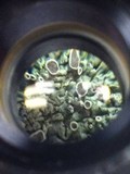 Physcia aipolia image