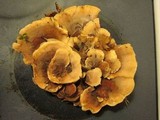 Onnia tomentosa image