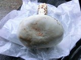 Amanita smithiana image
