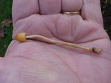 Galerina clavata image