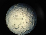 Arthrobotrys conoides image