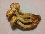 Pholiota squarrosoides image