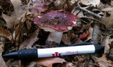 Russula atropurpurea image