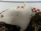 Hygrophorus subalpinus image