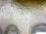 Cystoderma amianthinum image
