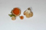 Sarcoscypha austriaca image