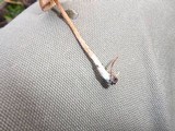 Psilocybe pelliculosa image