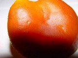 Flammulina velutipes var. velutipes image
