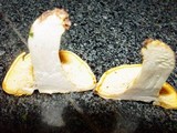 Cantharellus subpruinosus image
