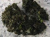 Leptogium coralloideum image