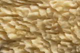 Schizopora paradoxa image