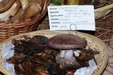 Cortinarius magicus image