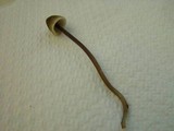 Mycena leptocephala image