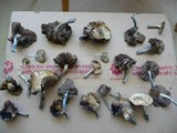 Psilocybe subaeruginascens image