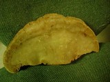 Phellinus robiniae image