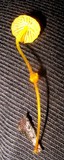 Mycena oregonensis image