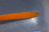 Clavulinopsis fusiformis image