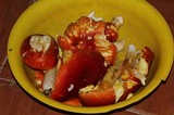 Amanita yema image