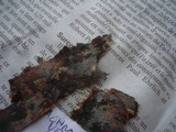 Helicogloea vestita image