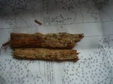 Jaapia ochroleuca image