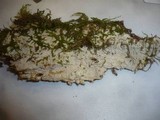 Cabalodontia subcretacea image