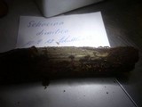 Sebacina dimitica image