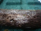 Sistotremella perpusilla image