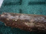 Sistotremella perpusilla image
