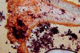 Pluteus chrysophlebius image