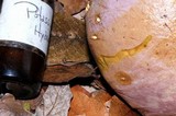 Tylopilus rubrobrunneus image