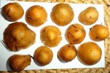 Inocybe mixtilis image