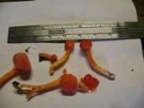 Hygrocybe miniata image