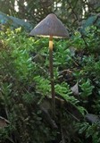 Mycena metata image